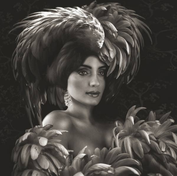 Photograph Lee Howell Beaute Aviare 8 on One Eyeland